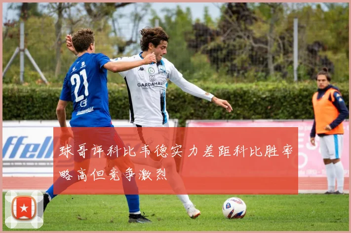 球哥评科比韦德实力差距科比胜率略高但竞争激烈