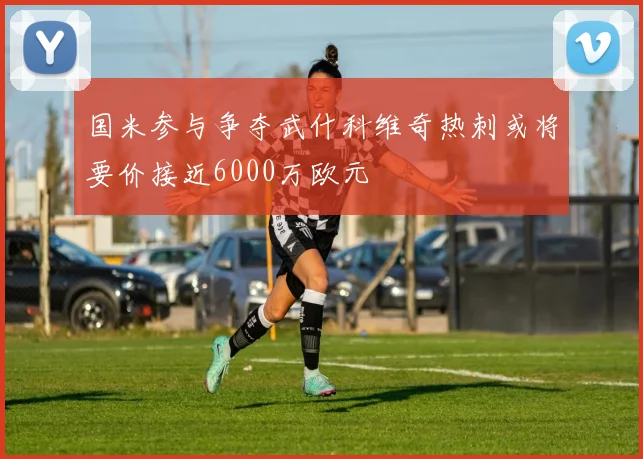 国米参与争夺武什科维奇热刺或将要价接近6000万欧元